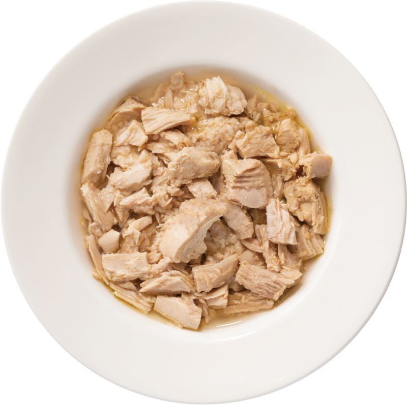 Can Food Tuna Fillet detail
